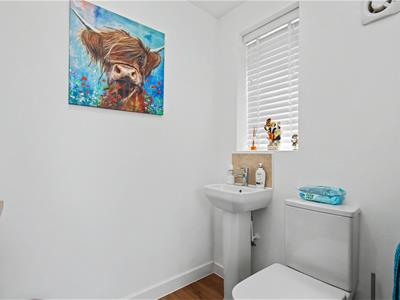 Picture 25